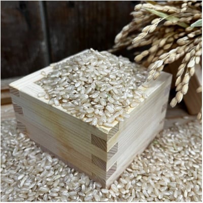 《玄米5kg》大阪府千早赤阪村産　棚田米