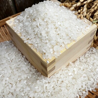 《白米2kg》大阪府千早赤阪村産　棚田米