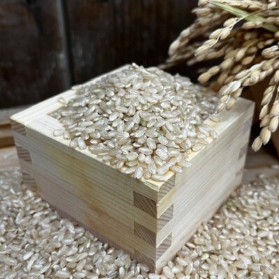 《玄米2kg》大阪府千早赤阪村産　棚田米