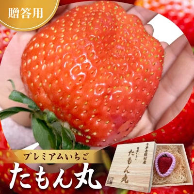 《数量限定》贈答用プレミアムいちご「たもん丸」1個入り(60g以上)ひのきの木箱入れてお届けします。