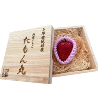 《数量限定》贈答用プレミアムいちご「たもん丸」1個入り(60g以上)ひのきの木箱入れてお届けします。