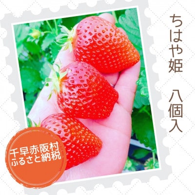 【大阪千早赤阪村】特産品「ちはや姫」が返礼品として登場!一度食べたらリピート率が高いいちご8個入り