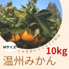 【大阪千早赤阪村】昔ながらの製法で丁寧に育てた「村の温州みかん」Mサイズ_10kg