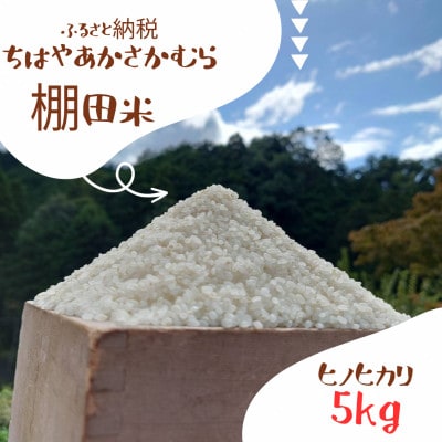 【千早赤阪村】～令和五年産～金剛山麓の清水で育てられた棚田米「ちはやあかさかむらの棚田米」5kg