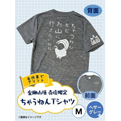 M ヘザーグレー　大阪府千早赤阪村　金剛山頂売店限定　ちゃうねんTシャツ