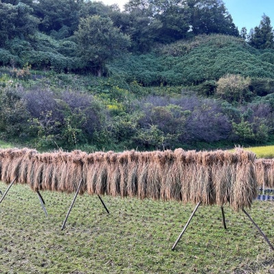 日本の棚田百選に選ばれた「下赤阪の棚田」で作った棚田米　精米150gx4袋