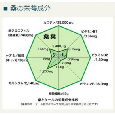 【5束入り】大阪産(もん)桑うどん　(1束200g/2人前)