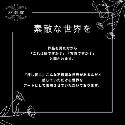 1点もの　押し花アート 『春咲き乱れ』額付き