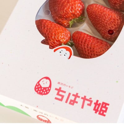 《1粒40g以上　8個入り》朝採れ完熟いちご　『ちはや姫』