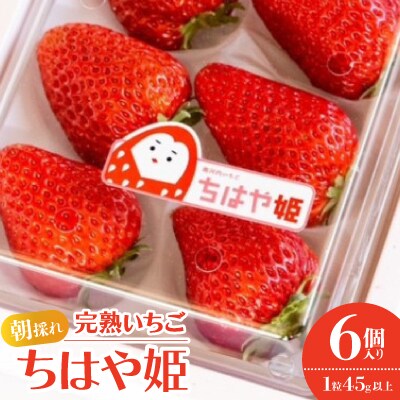 《1粒45g以上　6個入り》朝採れ完熟いちご　『ちはや姫』