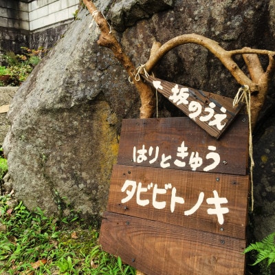 【大阪・千早赤阪村】自然に囲まれた古民家での鍼灸施術/問診+鍼灸初診150分※女性限定