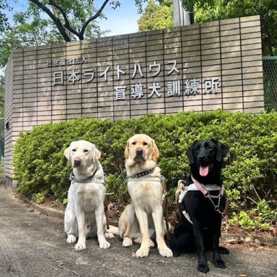 【返礼品なし】盲導犬育成へのご寄付　　　～皆様の支援が社会をつなぐ～　3万円