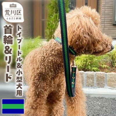 トイプードル及び小型犬用カラー(首輪)&リード(カラー:紺・緑・紺)【001-016】