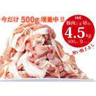 【3月末までの期間限定!】【3ヶ月以内に発送】国産!!豚肉こま切れ4.5㎏(500g×9袋)