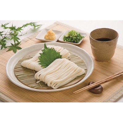 【1～3ヶ月程度で発送】さぬき生うどん12食セット(2人前×6袋)_Z2600040