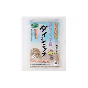 【未来のまちづくり応援品】期間限定!讃岐もち麦「ダイシモチ」8kg/「観光地域づくり事業」を応援!