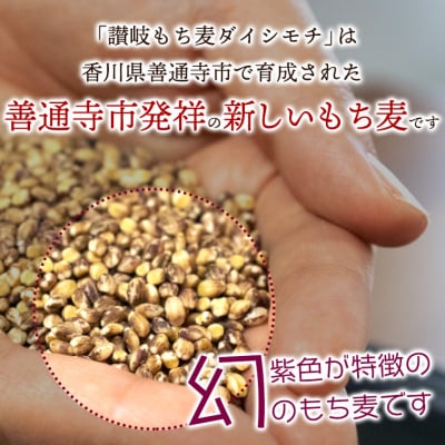【生産者応援企画!】 讃岐もち麦「ダイシモチ」8kg(1kg×8袋) ジップ付き_Z2600019