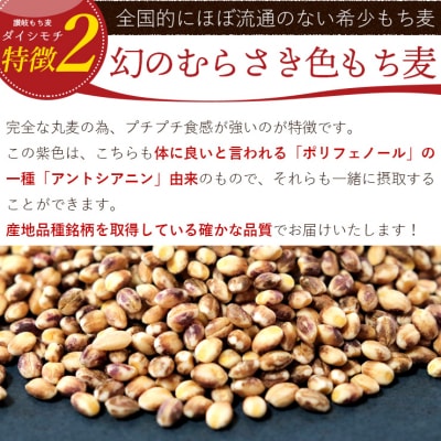 【生産者応援企画!】 讃岐もち麦「ダイシモチ」8kg(1kg×8袋) ジップ付き_Z2600019