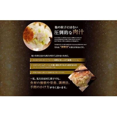「10/30で受付終了」たれ屋のクロワッサン餃子2セット(生餃子48個入り×2、酢醤油たれ4本)　
