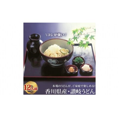 「瀬戸内中讃定住自立圏」うどんの名店食べ比べセット_Z2600126