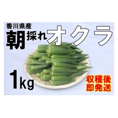 【2026年産】 善通寺市産オクラ 1kg_Z2600120