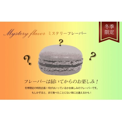 もりん 訳あり マカロン 20個 詰め合わせ_Z2600008
