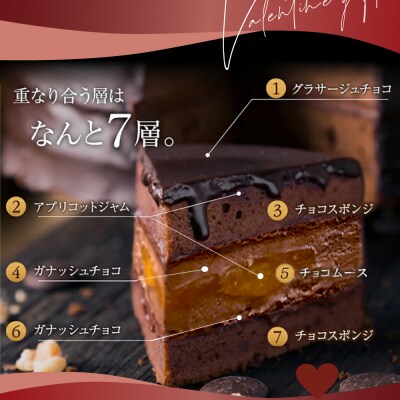 もりん ザッハトルテ・熊ケーキ (4号)_Z2600018
