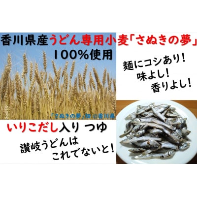 カマタマーレ讃岐×麺棒　讃岐夢かけうどん(8人前)セット