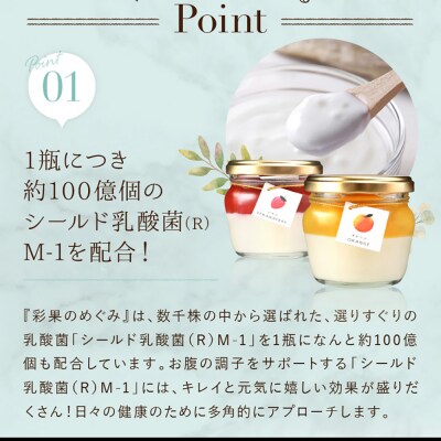 もりん 彩果の恵み 生チーズケーキ 12個詰め合わせ