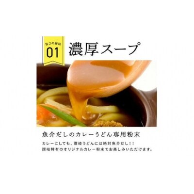 讃岐カレーうどんセット(24人前)_Z2600131