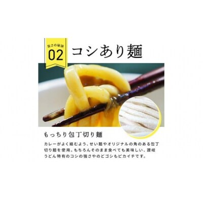 讃岐カレーうどんセット(24人前)_Z2600131