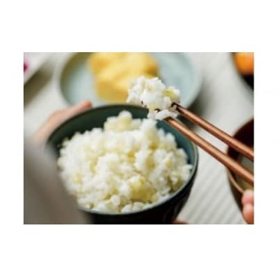 善通寺市産二条もち麦「キラリモチ」 2kg