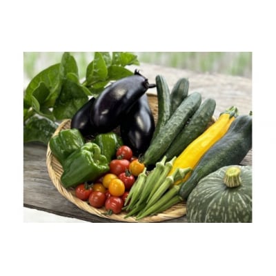 【締切間近】無農薬 無化学肥料 無除草剤 夏のお野菜セット_Z2600046