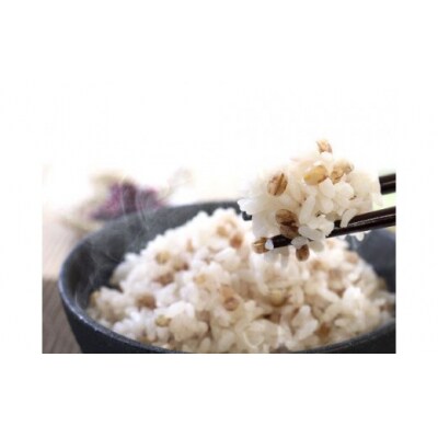 ダイシモチ麦麺セット