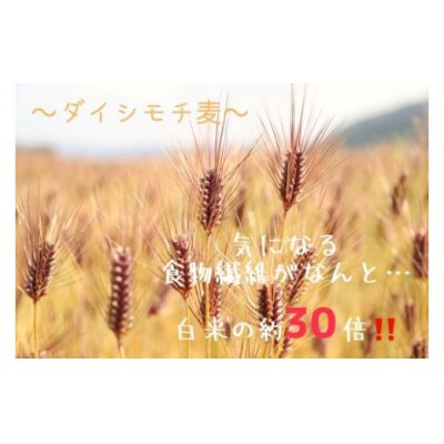 ダイシモチ麦麺セット_Z2600130