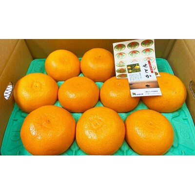 香川県産 せとか 約3kg化粧箱　7-15玉入_Z2600588