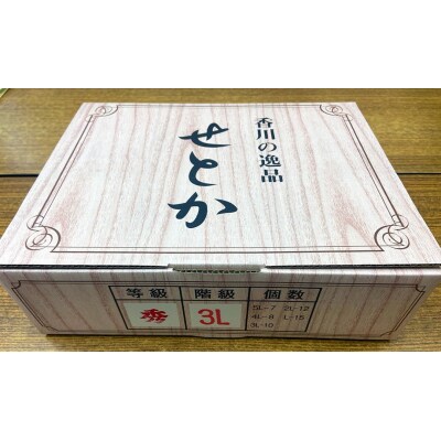 香川県産 せとか 約3kg化粧箱　7-15玉入_Z2600588