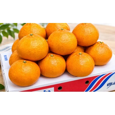 香川県産 せとか 約5kg　4L-L　15-24玉入_Z2600591