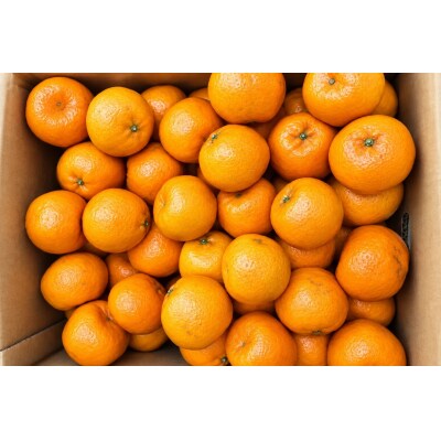 香川県産 ぽんかん 約10kg　3L-M　20-45玉入_Z2600587