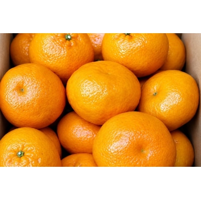 香川県産 はるみ 約5kg　4L-L　15-24玉入_Z2600593