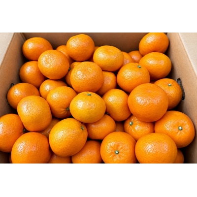 香川県産 はれひめ 約5kg　2L-S_Z2600584