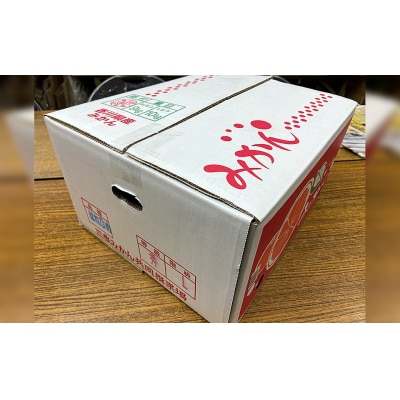 香川県産 はれひめ 約5kg　2L-S_Z2600584