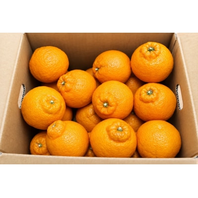 香川県産 不知火 約2kg　4LkgL　6-10玉入_Z2600580