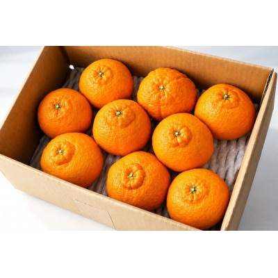 香川県産 ハウスデコポン 約2kg　4L-L　6-10玉入_Z2600577