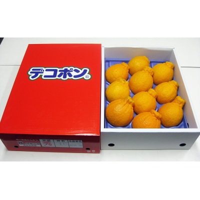 香川県産 ハウスデコポン 約3kg化粧箱　7-12玉入_Z2600576