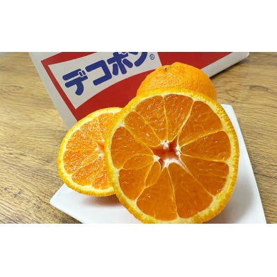 香川県産 ハウスデコポン 約5kg　4L-L　15-24玉入_Z2600579