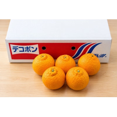 香川県産 ハウスデコポン 約5kg　4L-L　15-24玉入_Z2600579