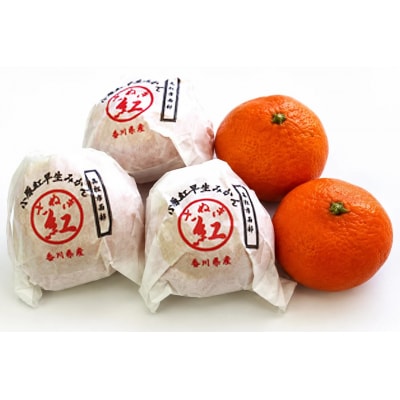 香川県産 越冬さぬき紅みかん 約1.5kg　L-2S　約12-25個_Z2600574