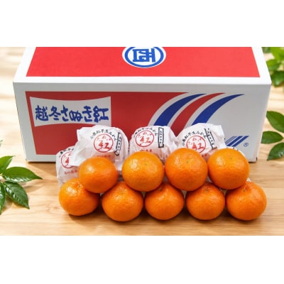 香川県産 越冬さぬき紅みかん 約3kg　L-2S　約25-50個_Z2600575