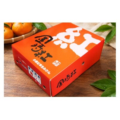 香川県産 金時紅みかん 約2.5kg 化粧箱入　21-30玉_Z2600569